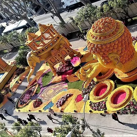 Les Mimosas *