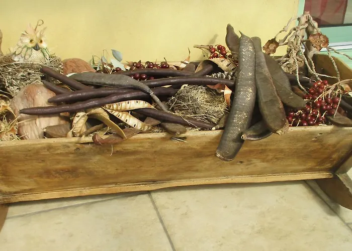 Bed and breakfast Les Mimosas *