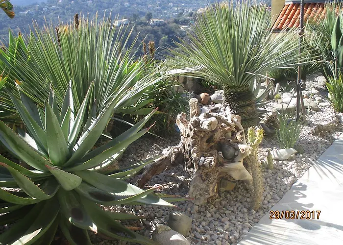 Les Mimosas Bed and breakfast Menton