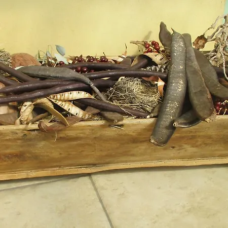 Frühstückspension Les Mimosas *