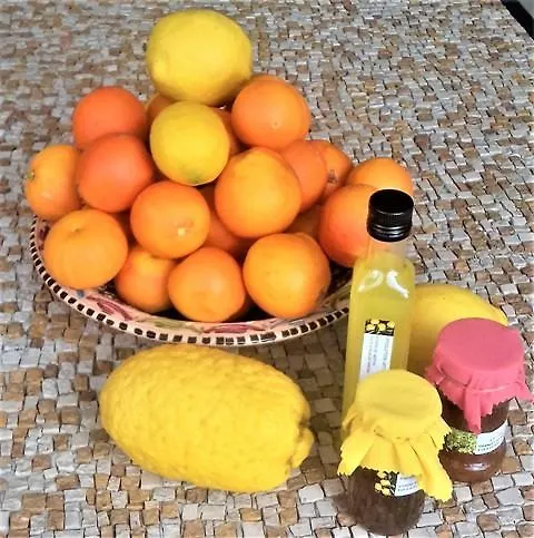 Frühstückspension Les Mimosas